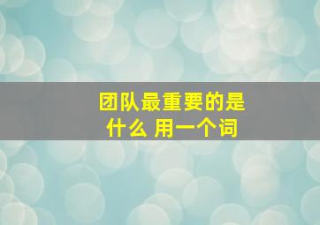 团队最重要的是什么 用一个词